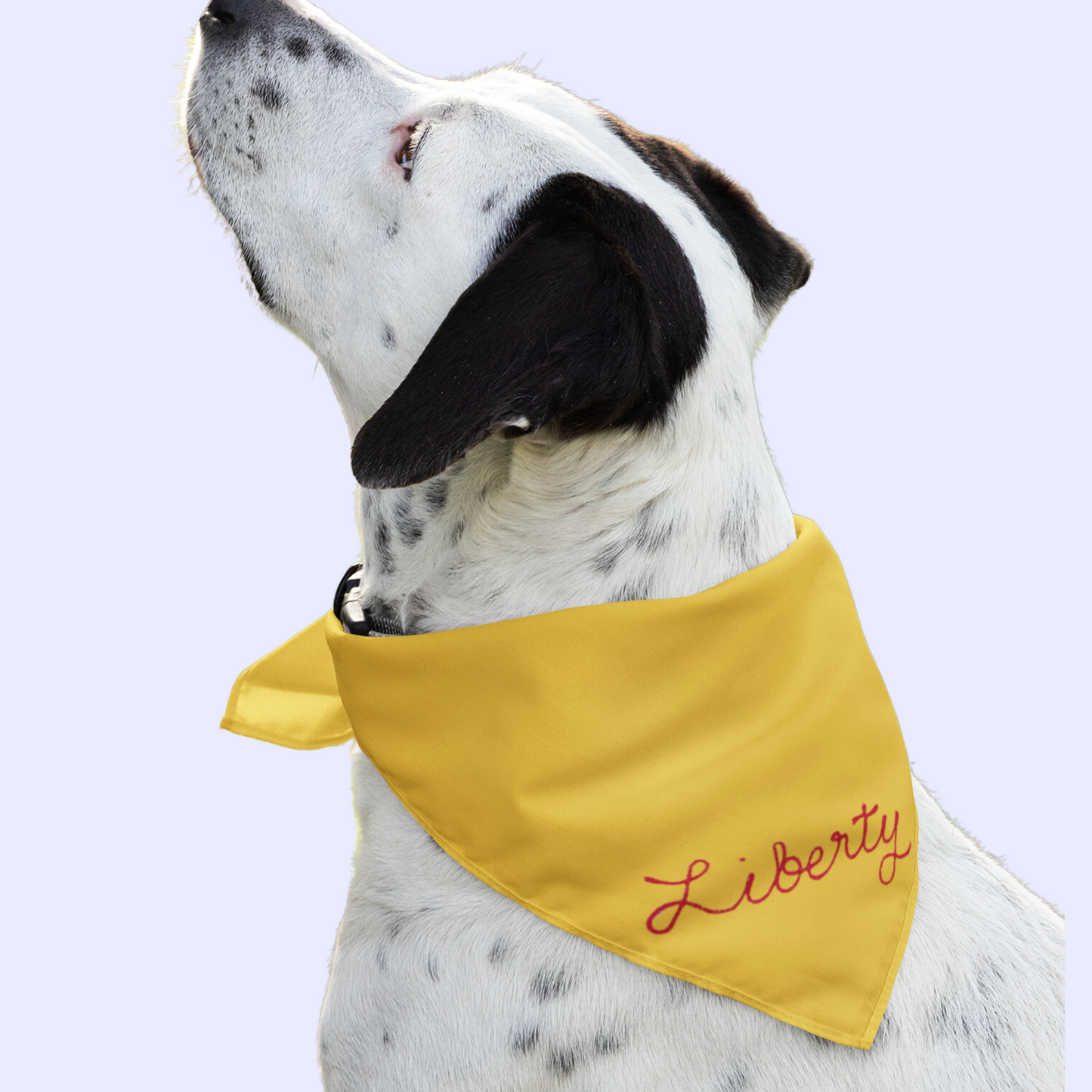 The Chainstitch Bandana