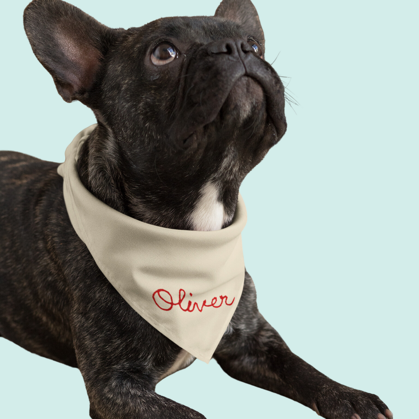 The Chainstitch Bandana