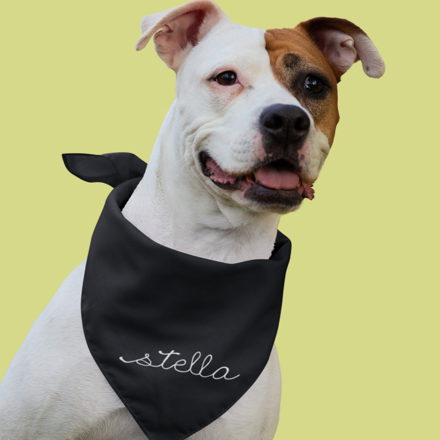 The Chainstitch Bandana