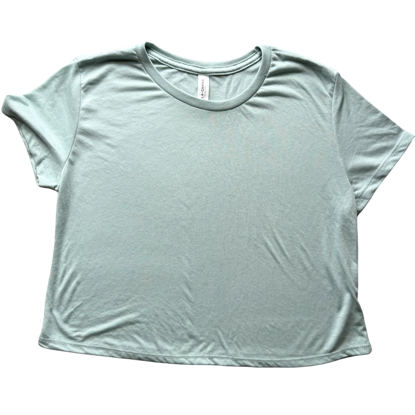 ADULT - Women's Medium Cropped Robins Egg Blue T-Shirt